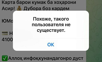 Удален Telegram-канал, предположительно, собиравший деньги для террористов
