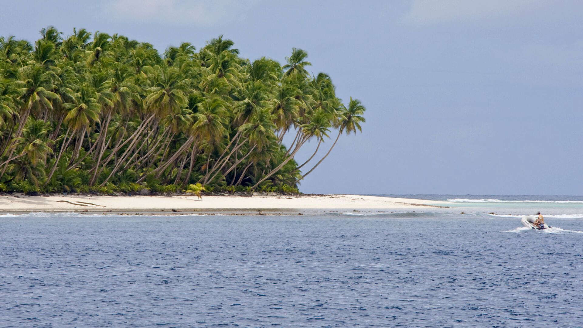 �������� ������ �������� ����������� ��� ����������� �����