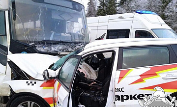 При ДТП с автобусом в Ленинградской области пострадали 12 человек