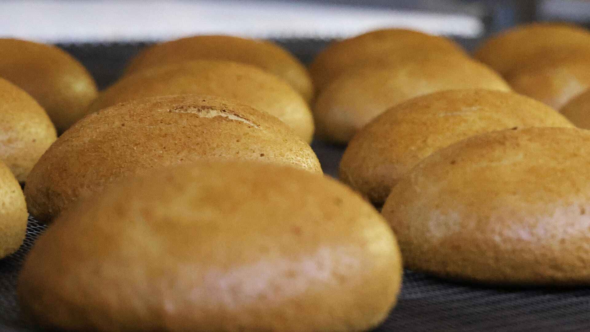 Тыловики "Центра" построили заглубленный хлебокомбинат в зоне СВО