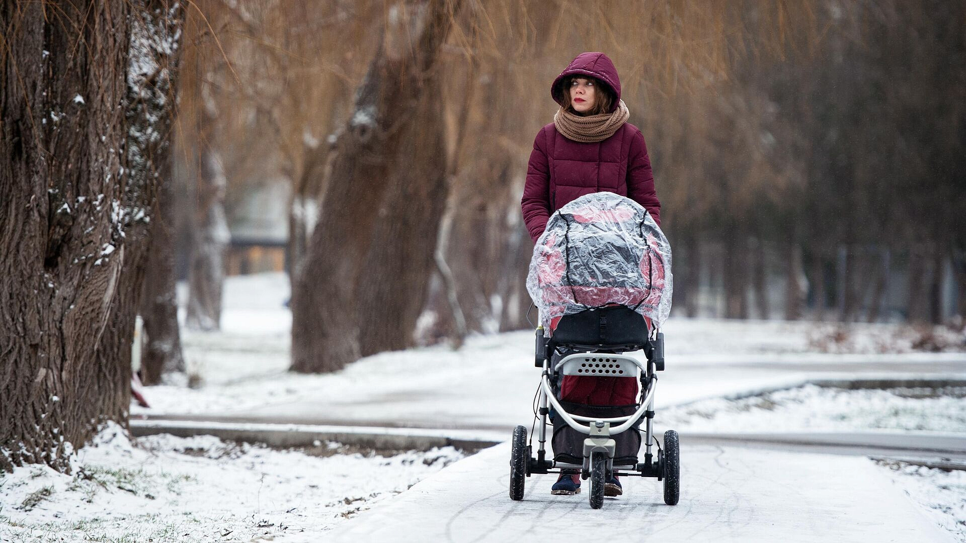 ����� ������� ������������� ������� ������ �������� ��������� �����