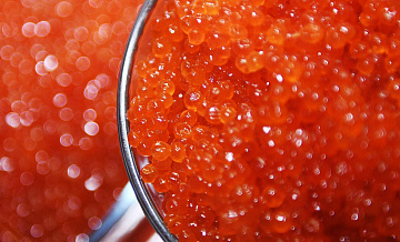 На Сахалине задержали трех браконьеров за заготовку красной икры