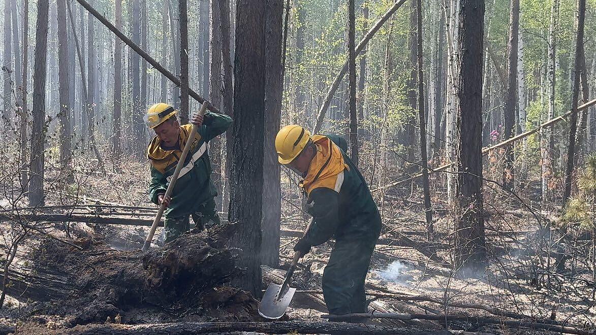 ����������� ������������ �������� ��-�� ������ � ������