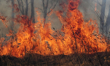 Пожарные тушат пал травы возле Уссурийска