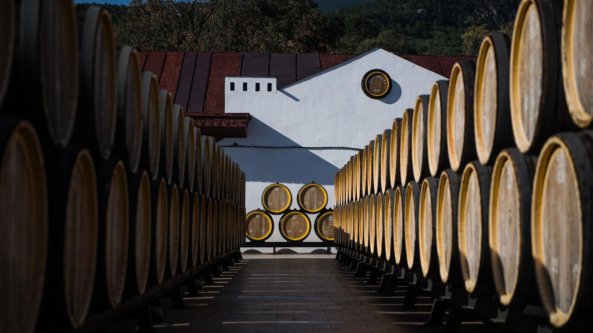 ������ ��������� ��������� ������������ ������������� ����, ������� �����