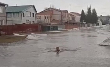 На Алтае проверили ситуацию в селе, глава которого переплыл лужу