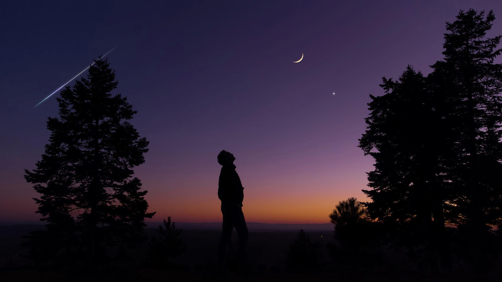 ��������� � ������ 2026: ��� �������� ������ ������ ������� �����