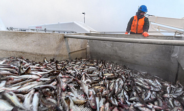 ����� ����� ������ ������ "�������� ��������" ������