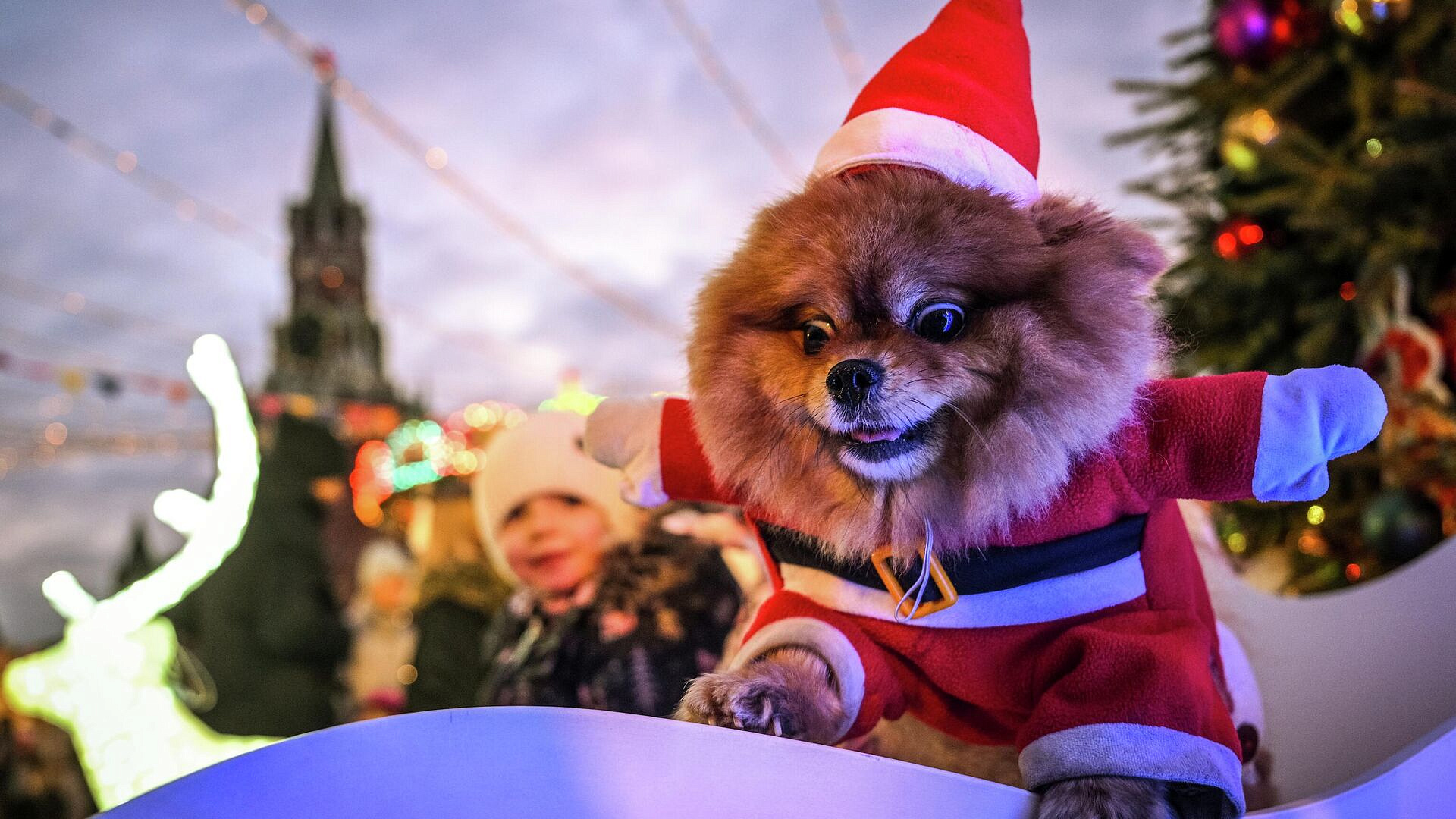 ������� ��������� �� �������� ������ �� ���������� ������