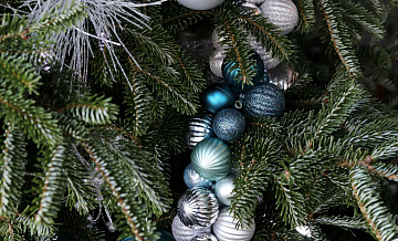 � ������ ���������� ����� ������ ���������� ����