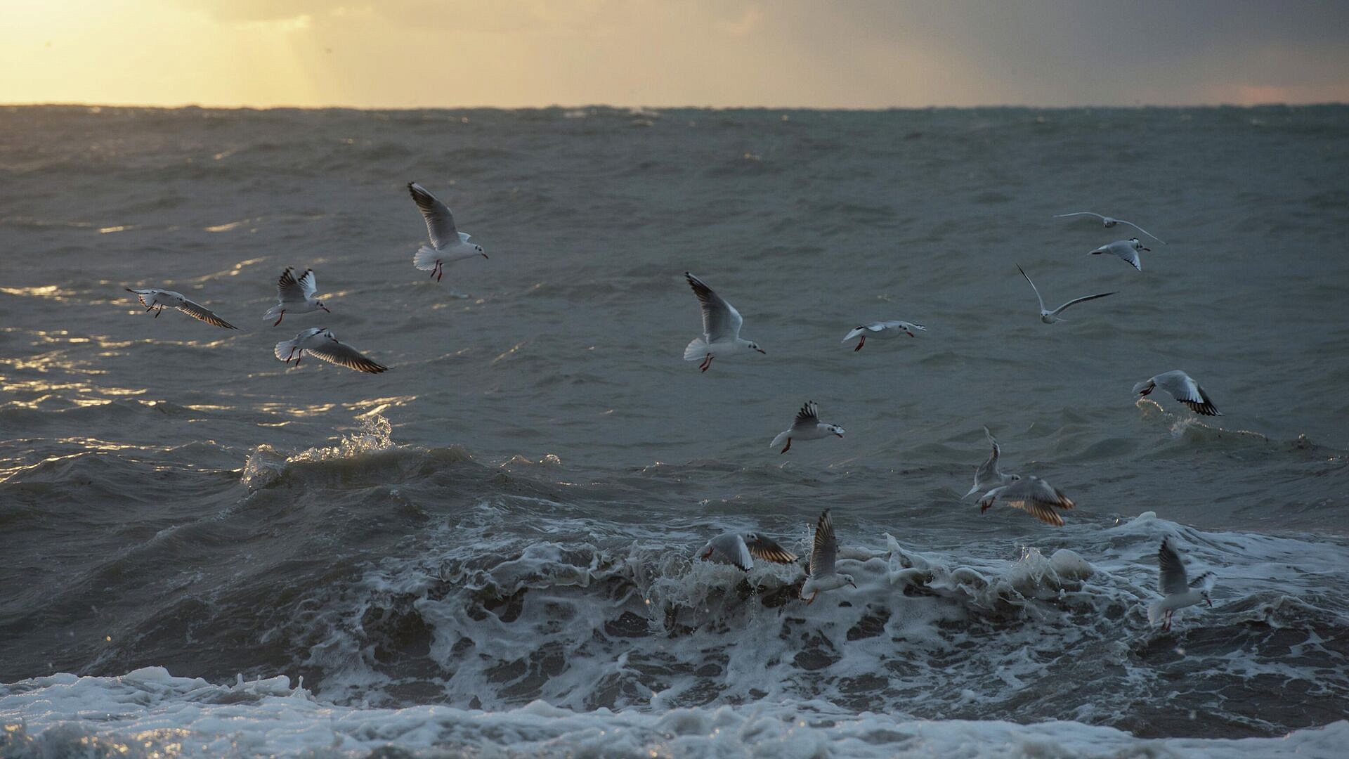 ���������� �� ������ ���� �� ���� ���������� �������������� ���