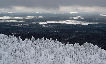 В Красноярском крае сноубордисты два дня блуждали по тайге