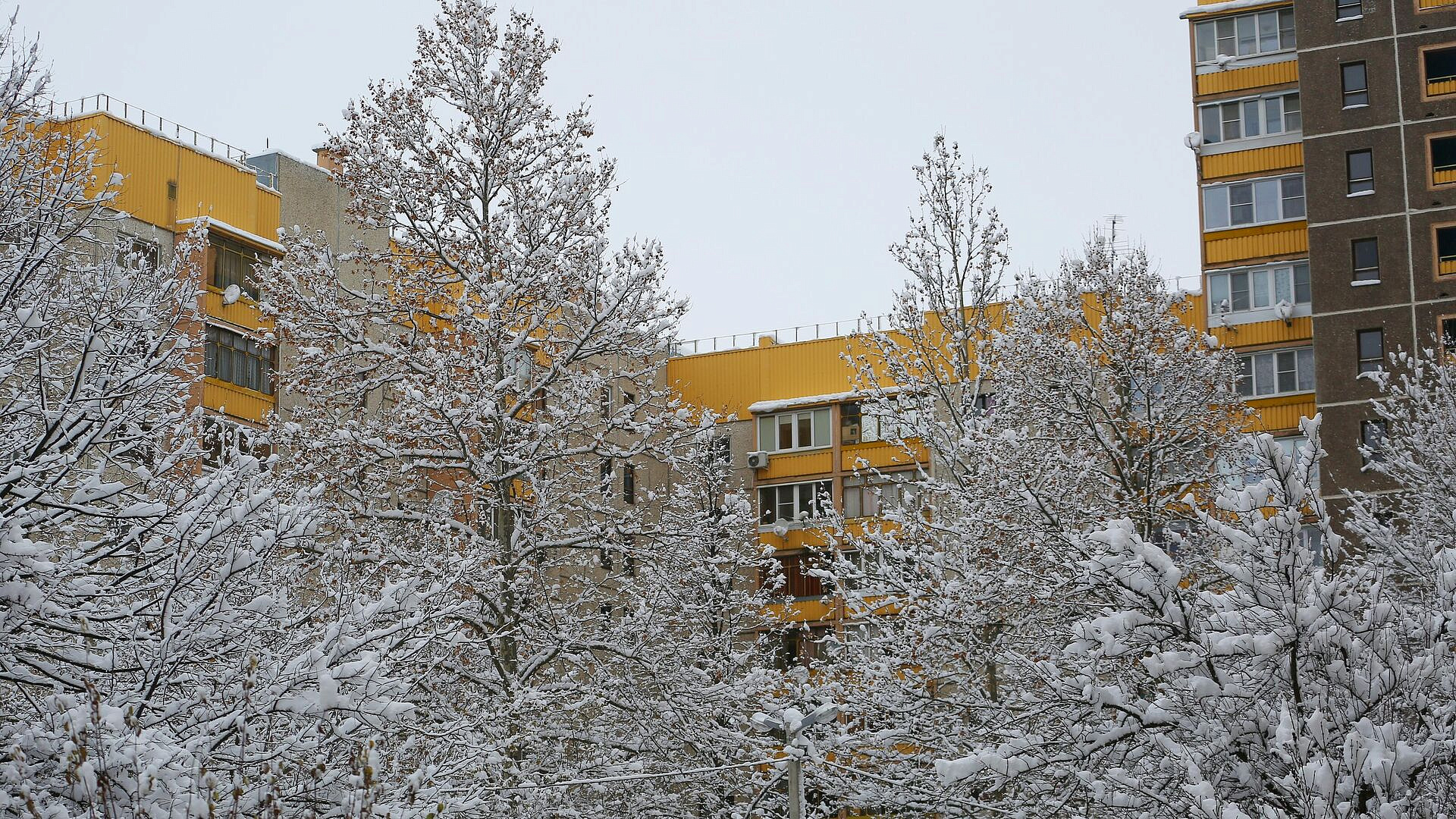 Депутаты Кубани предложили изменить законодательство о перевозке инвалидов