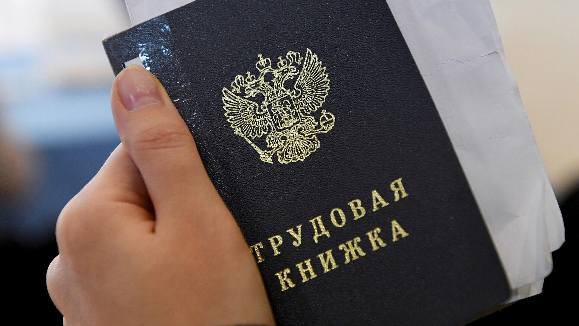 Россиянам раскрыли, каких пенсионеров лучше всего берут на работу Россиянам раскрыли, каких пенсионеров лучше всего берут на работу