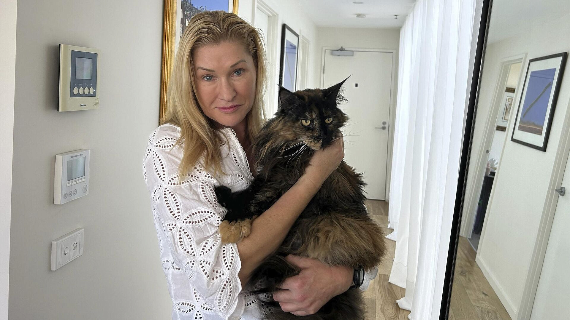 Кошка совершила три перелета между Австралией и Новой Зеландией за сутки