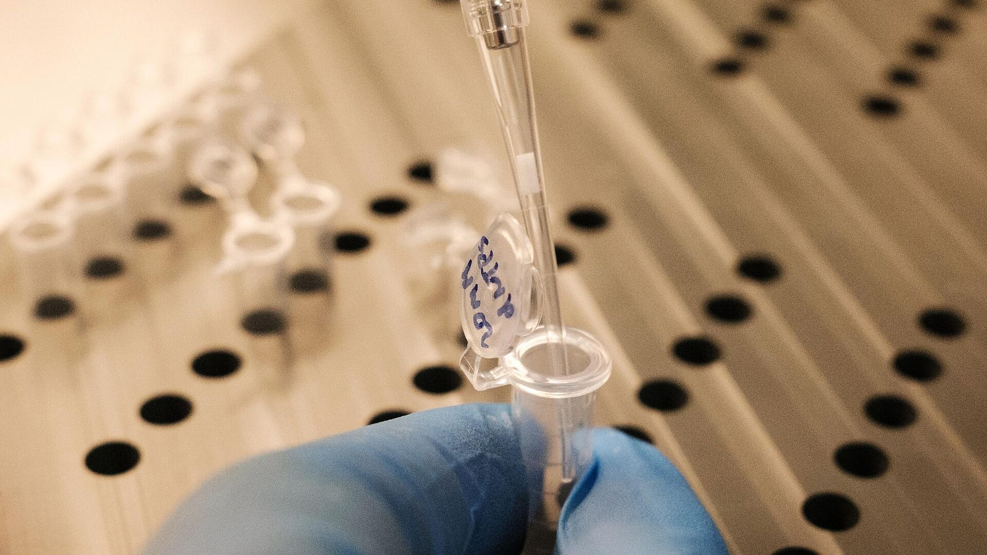 В России разработали новый ПЦР?тест для диагностики хеликобактериоза