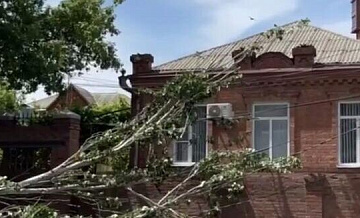 В Ростове-на-Дону дерево упало на крышу дома