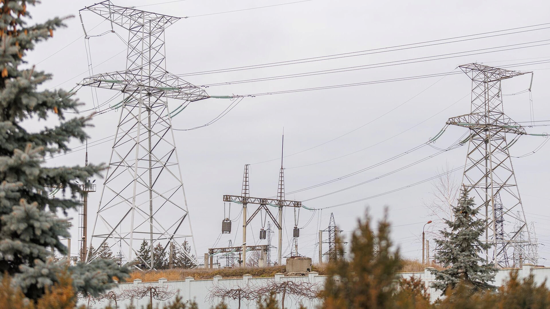 �� ������ ������� ����� 40 ���������� ������� ���������� ��-�� ��������