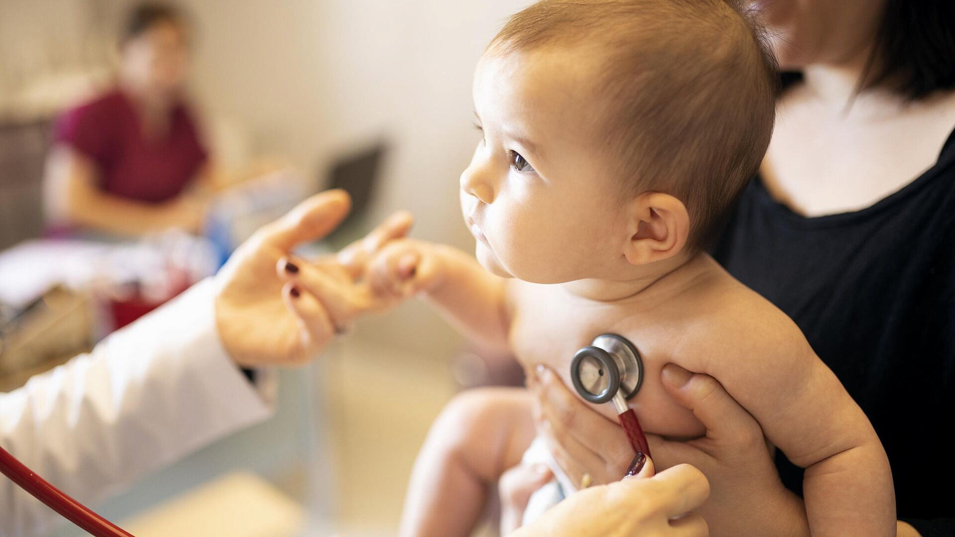 � ������ ��������� �������������� �������� ����� �� �� ��������