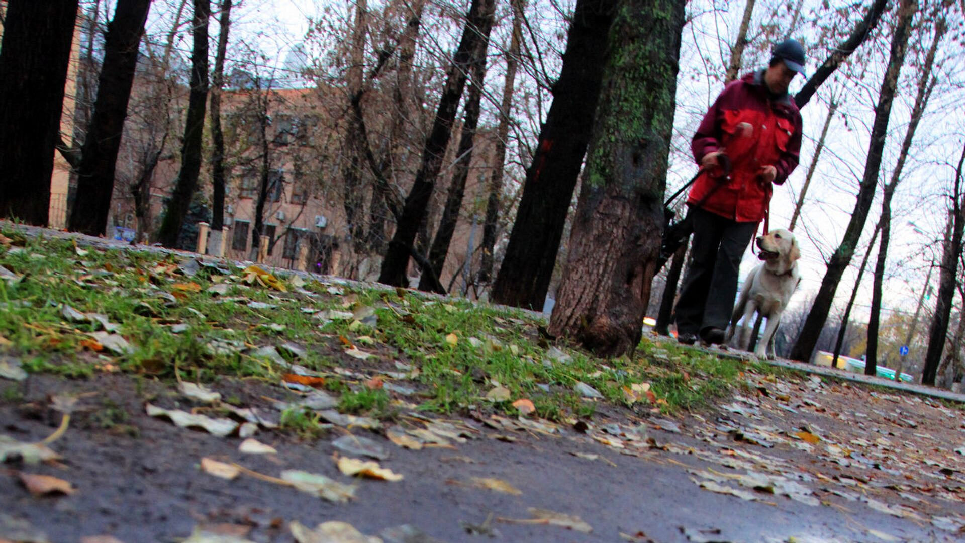 ���������� ��������� � ������ �������� ������ � ���������� �������