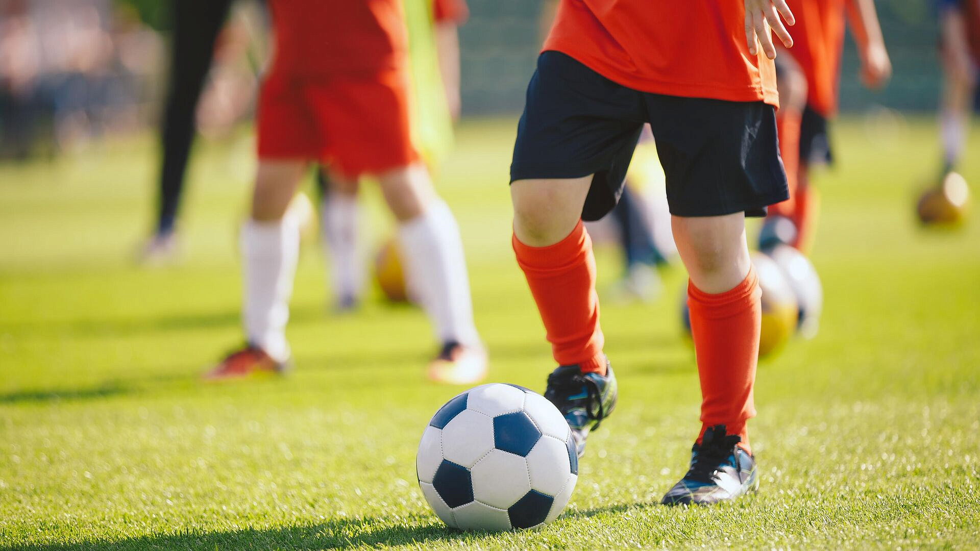 В Госдуме призвали записывать детей в бесплатные спортивные секции