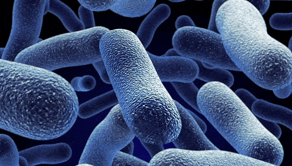 ����������� �������� ��������� ������������ �����, ����� ���