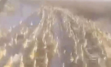 В Забайкалье выяснили, почему бригада не притормозила поезд из-за антилоп