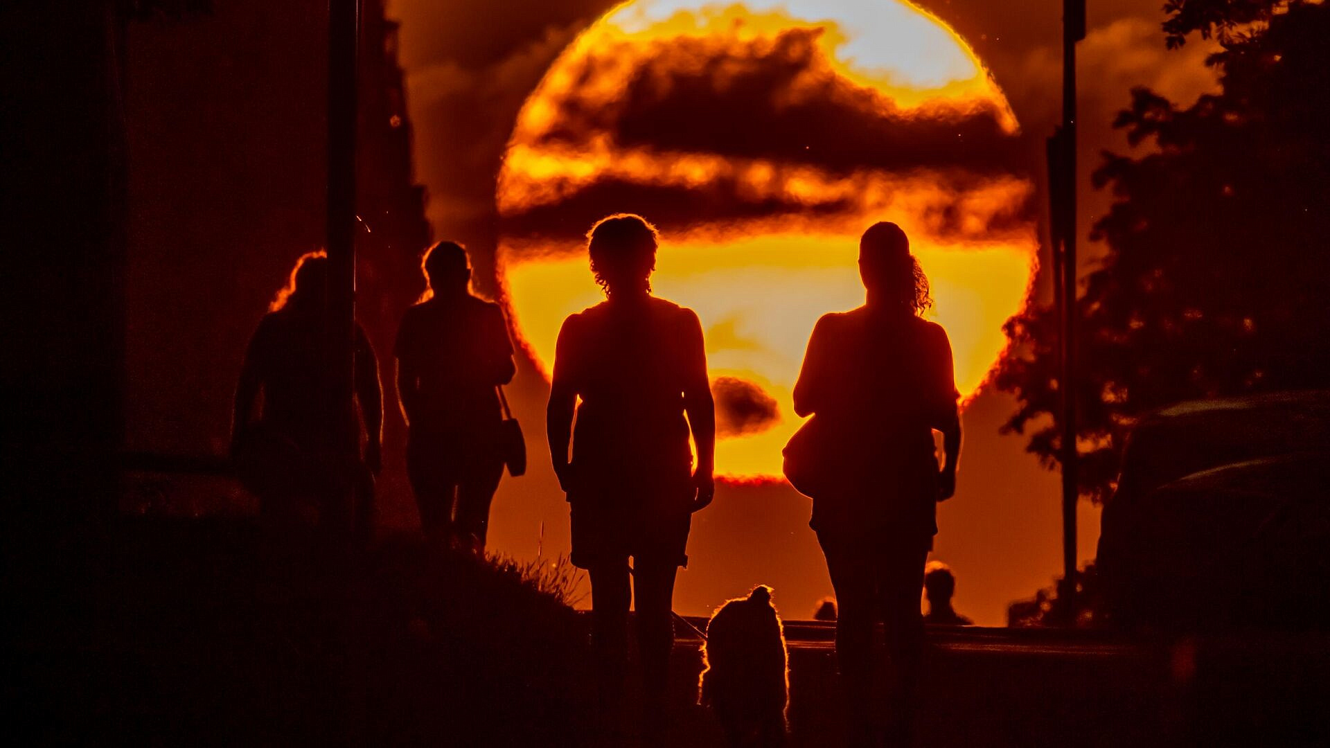 ����� �������� � ��������� ��������� ���������� ������� ��������� ������