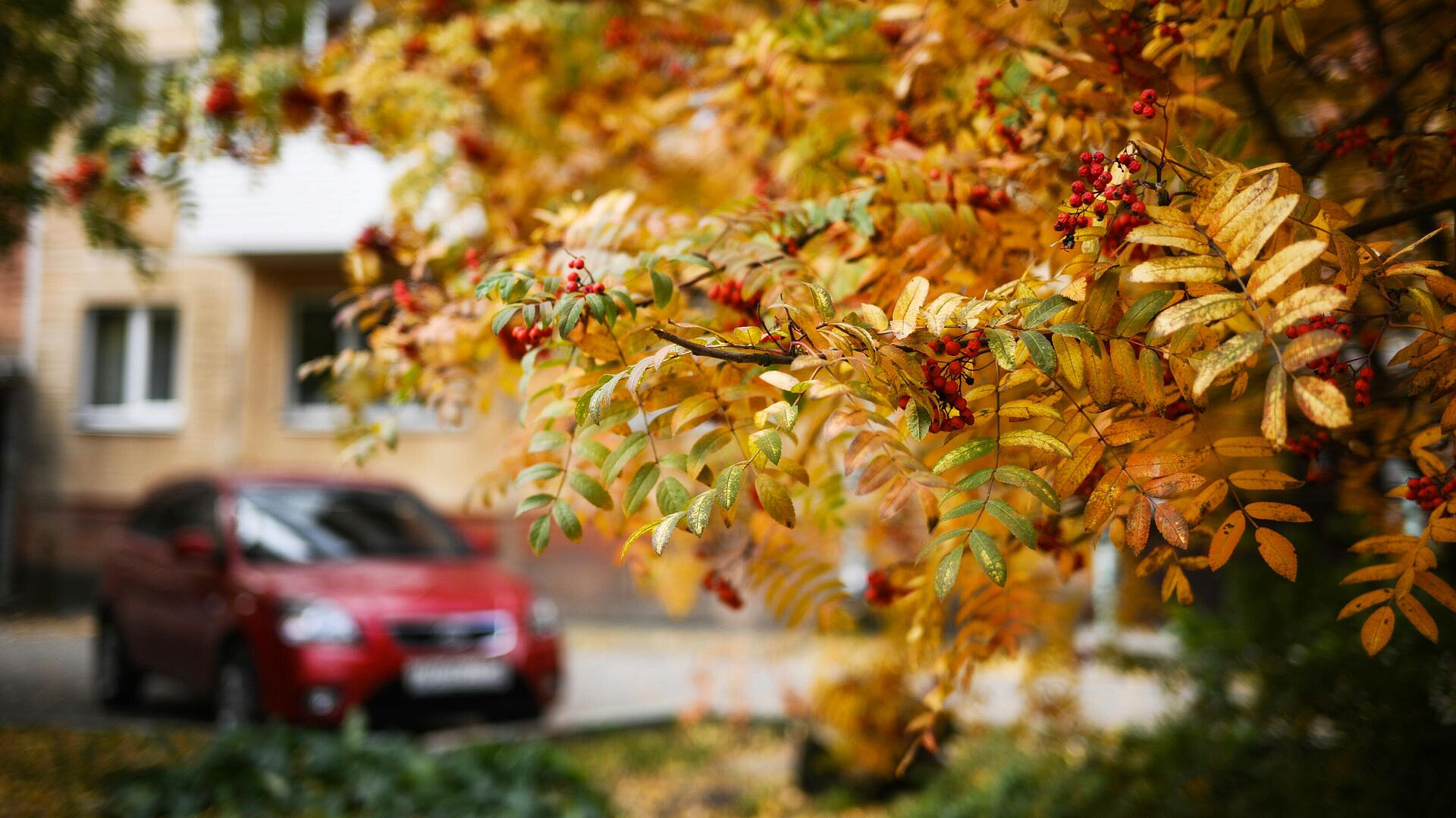 ������� ������ ������� ����� �� ����������� ���������