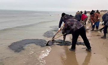 На Черном море тестируют разные методы поиска мазута, заявили в РАН