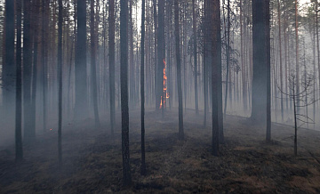 В России потушили 15 природных пожаров за сутки