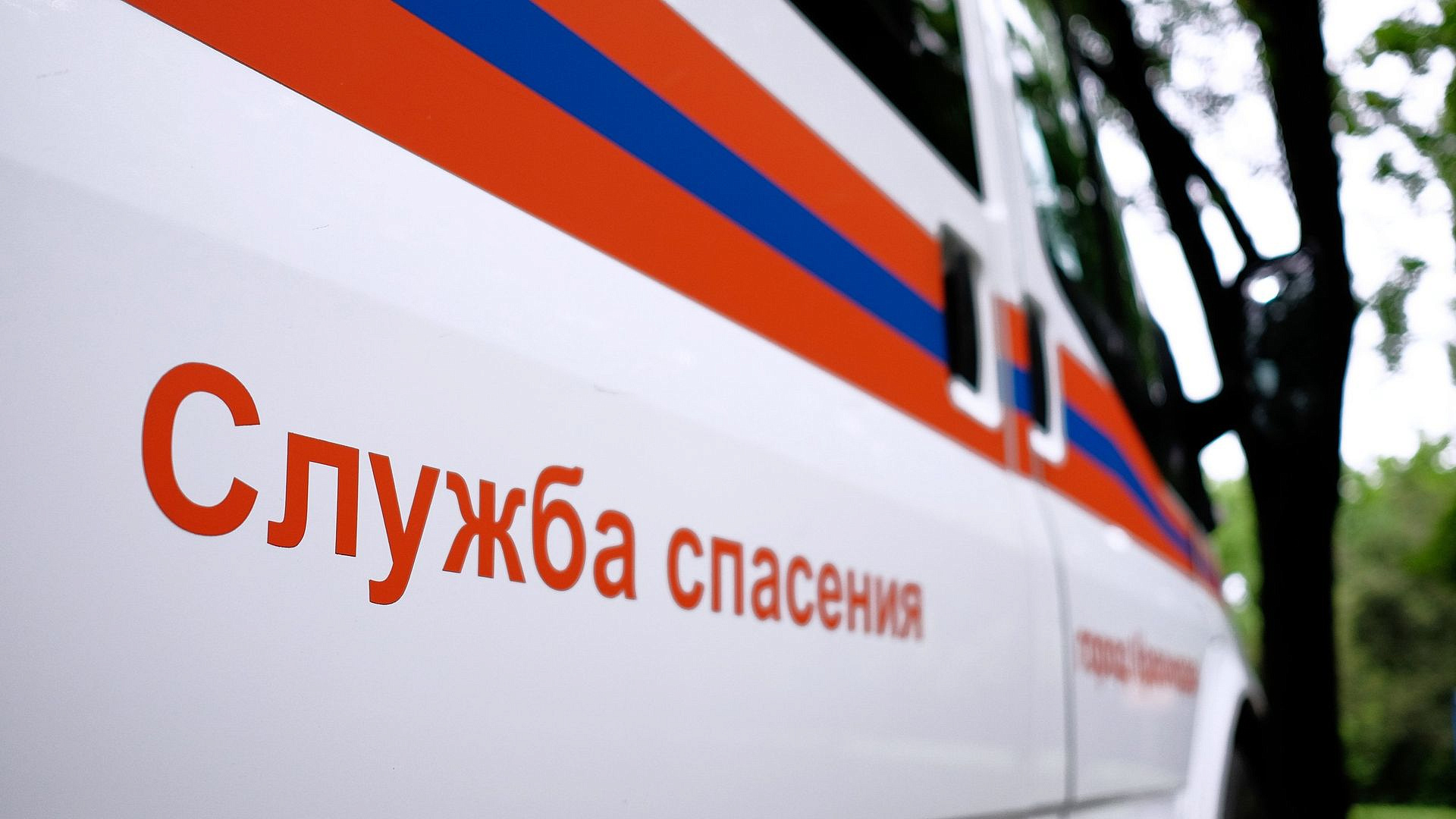 В Дагестане спасли котенка, провалившегося в вентиляционную трубу