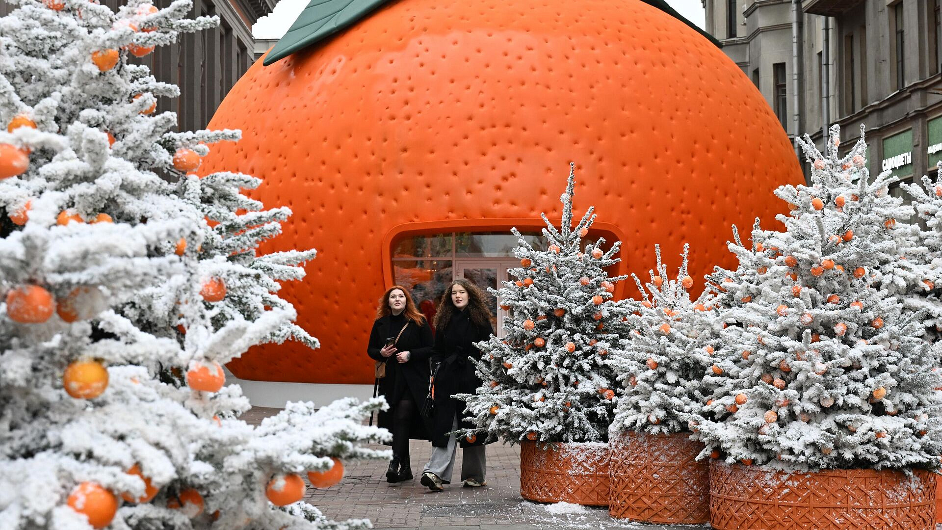 � ������ ��������� ������ ����� �������� �� ��� ���������� ���