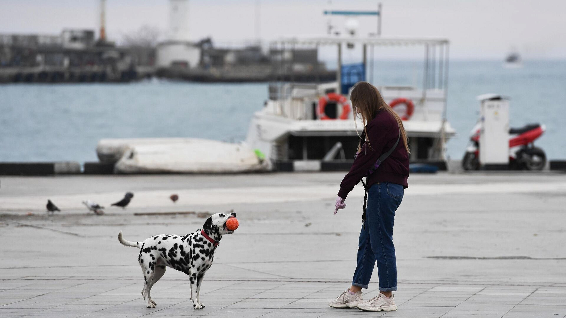 Монах рассказал, можно ли называть животных именами святых