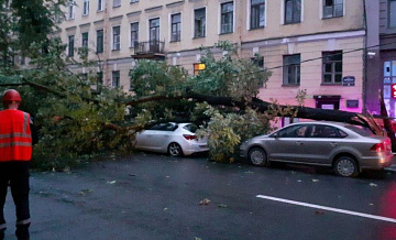 Спасатели 59 раз выезжали в Петербург из-за непогоды