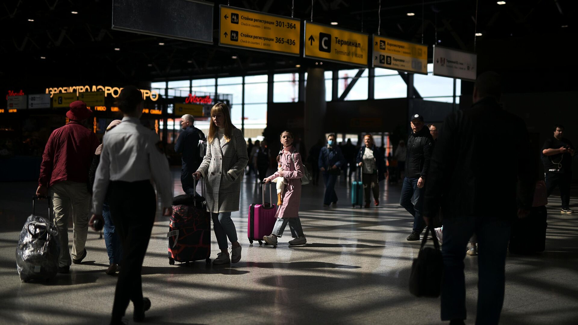 В Шереметьево в самолете из Якутска нашли мертвого мопса 