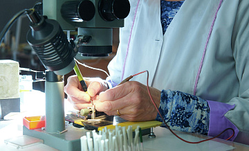 Ликсутов: завод из ОЭЗ Москвы создал свыше 80 тысяч платиновых термометров