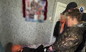 Подростка в Нижегородской области  обвинили в жестоком убийстве мачехи