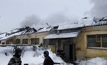 Прокуратура устанавливает причины пожара в конюшне в Подмосковье