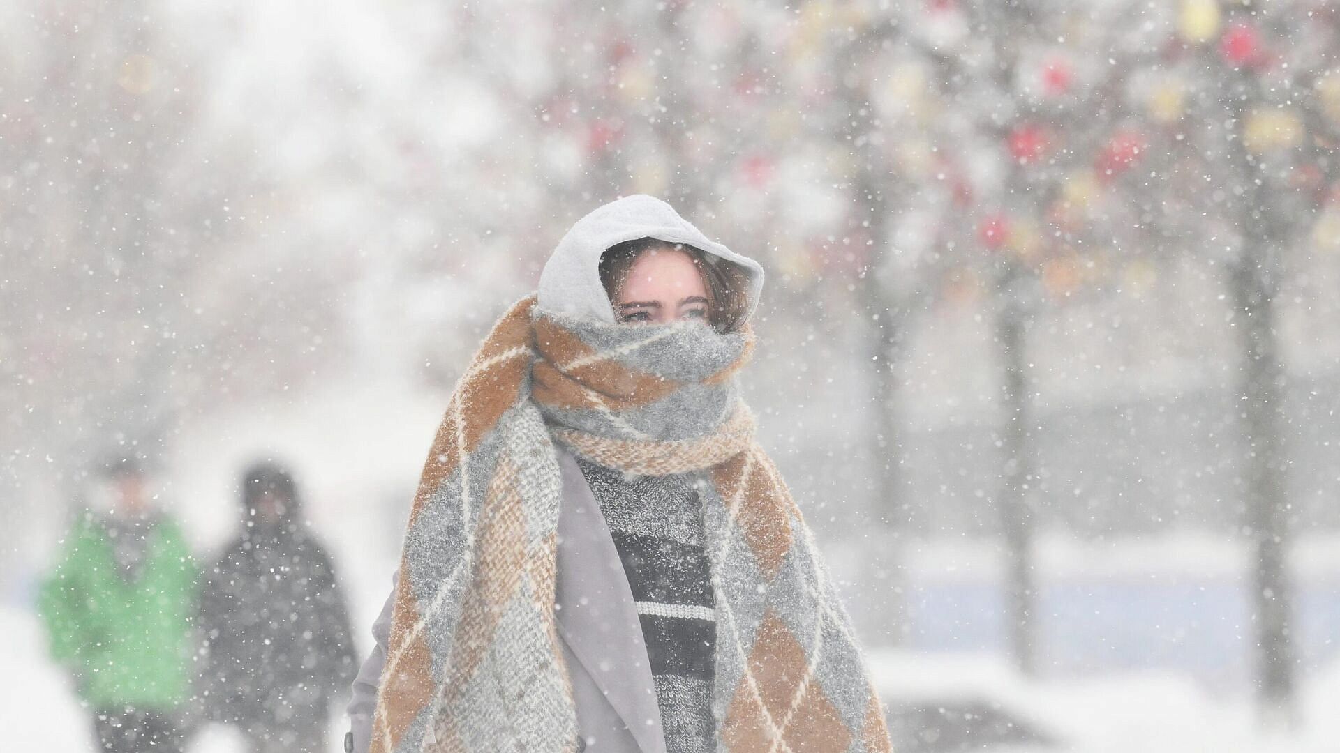 Ученый рассказал, будет ли в Москве выпадать меньше снега в XXI веке