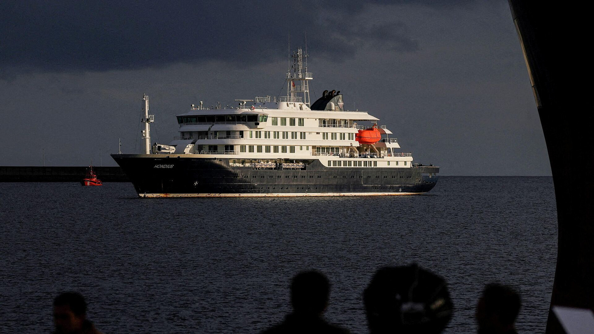 На лайнере MV Hondius во время рейса не было грызунов, заявил судовладелец