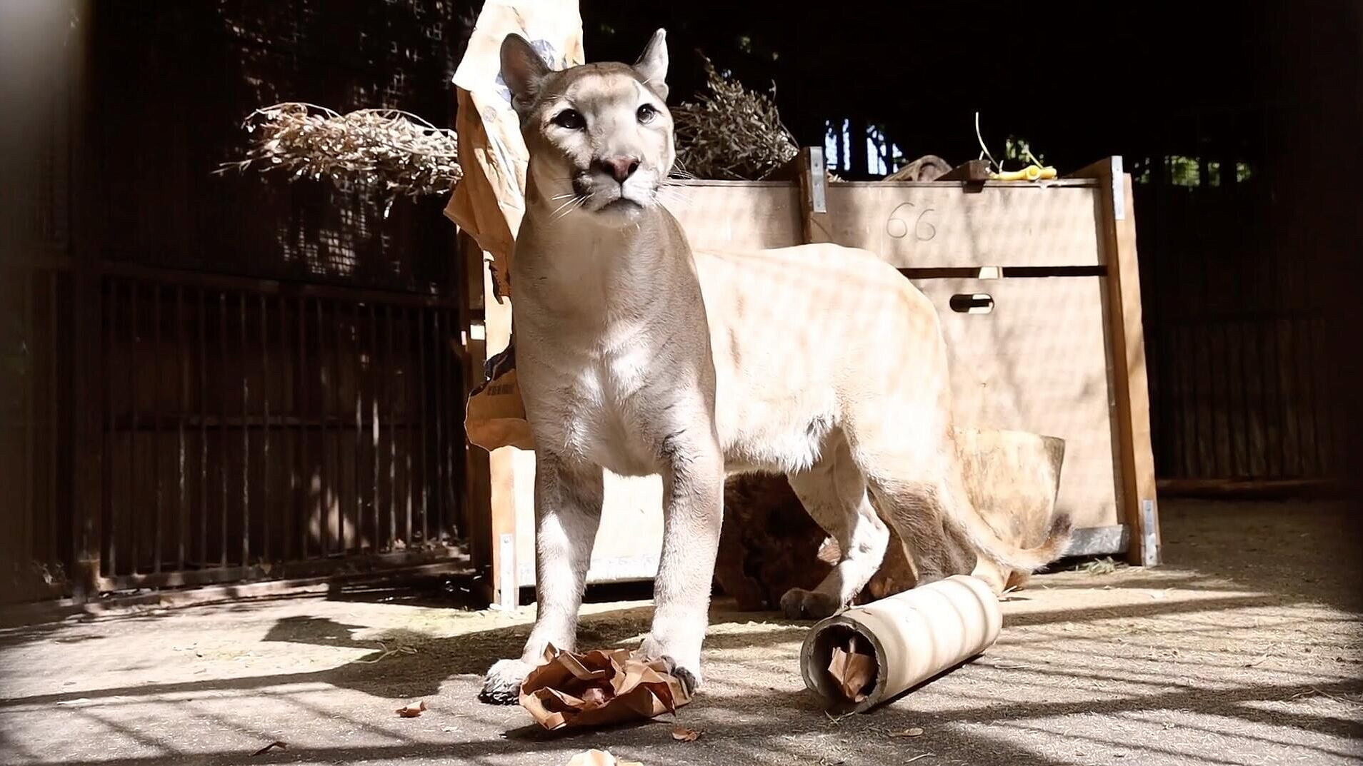 � ���������� �������� ���������� �� ��������� ���� ���������