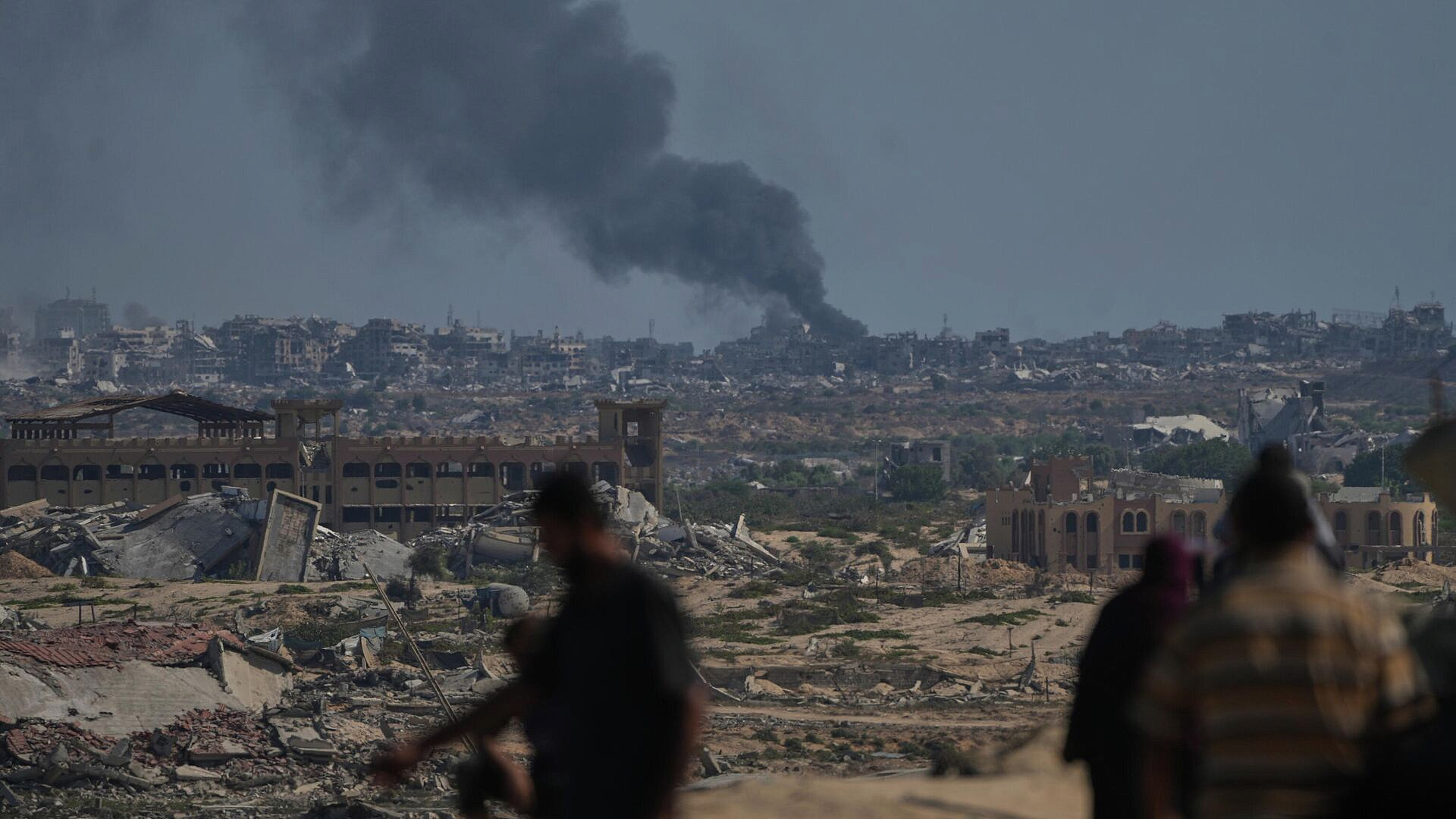 ������ ������������ ���� ��� �� ����, ������ ���