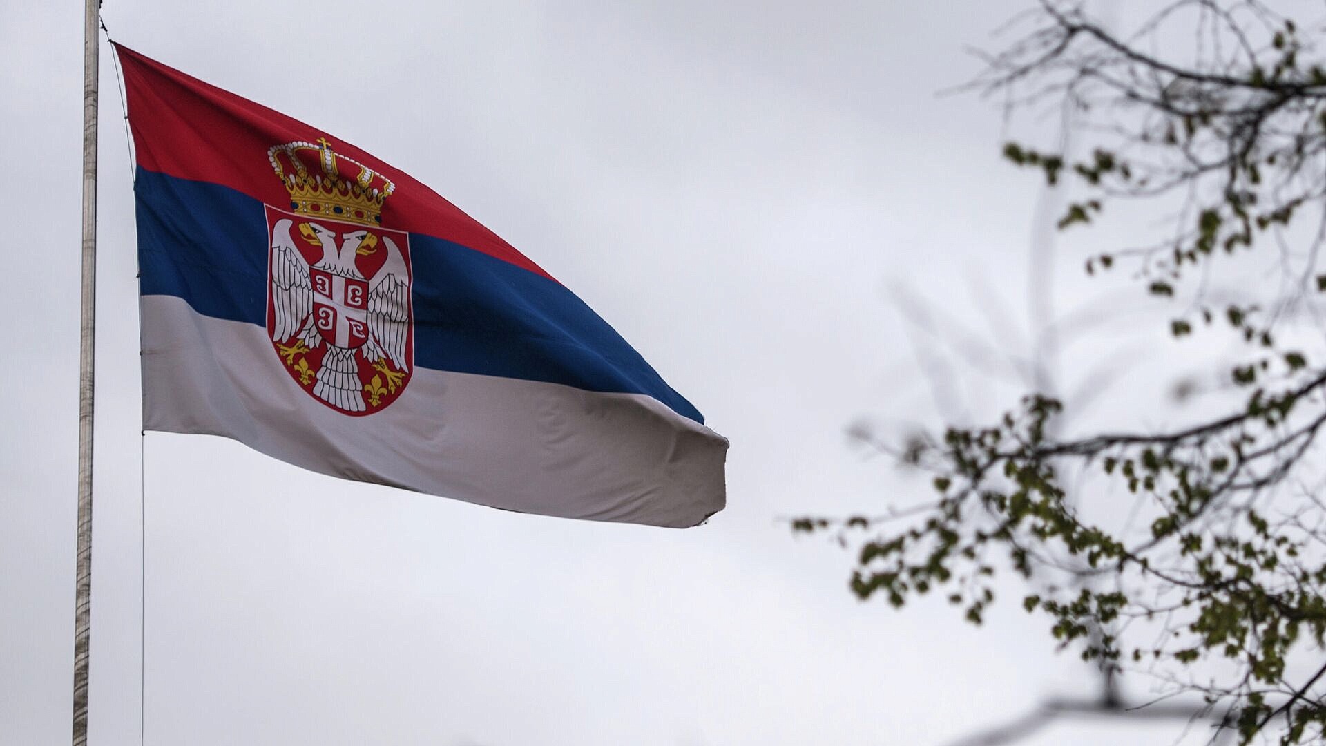 Сербия и Россия готовят соглашение о совместном кинопроизводстве Сербия и Россия готовят соглашение о совместном кинопроизводстве