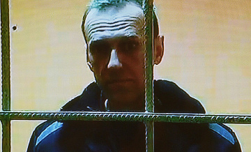 Суд Салехарда оставил без удовлетворения жалобу матери Навального
