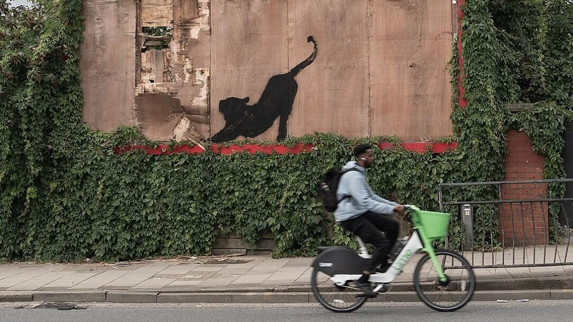 ������ ���������� ���� ������ � ������ ������ ������ � �������