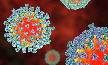 В Перми случилась вспышка кори после цыганской свадьбы 