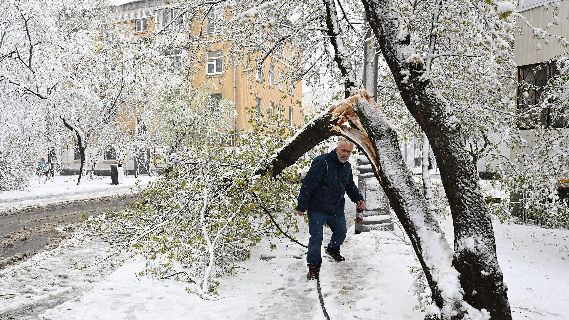 Городские службы Москвы работают в усиленном режиме из-за непогоды