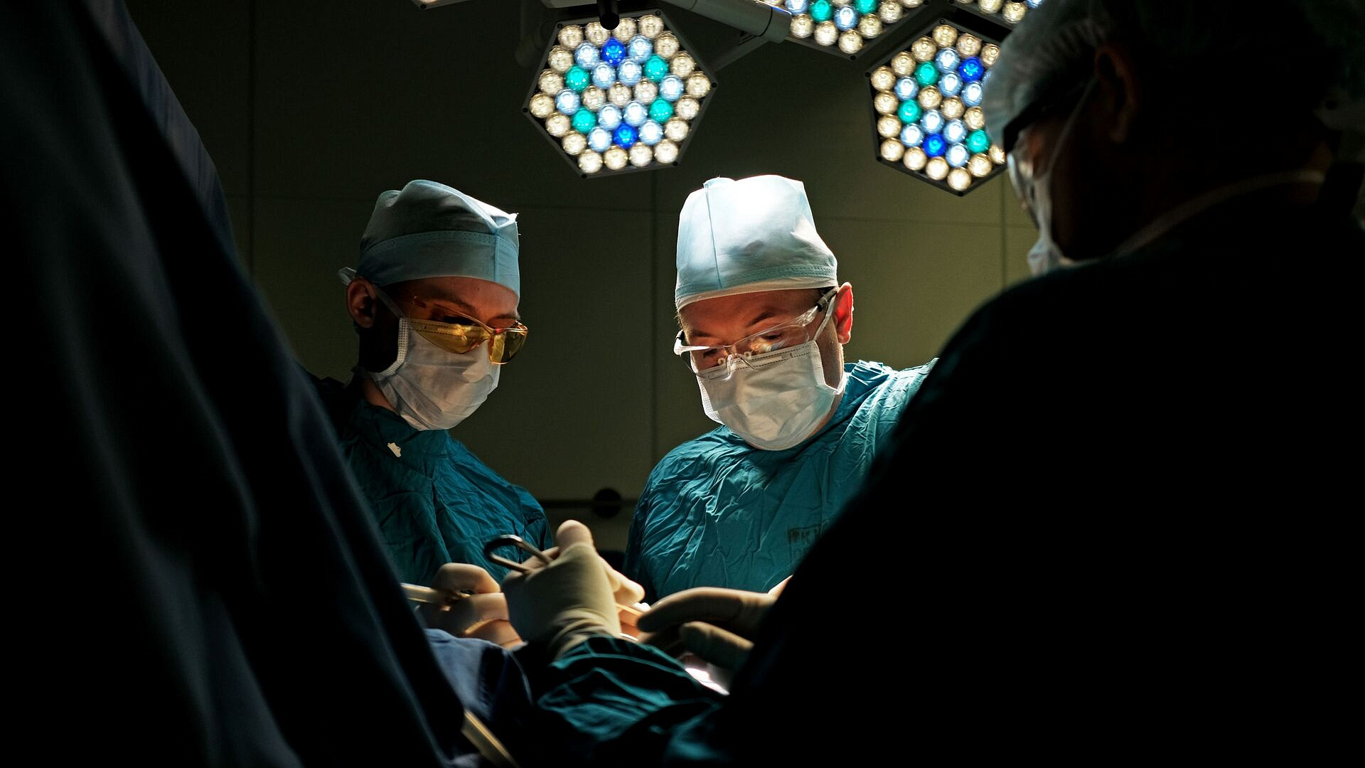 В США разрешили испытания по трансплантации людям почек свиней