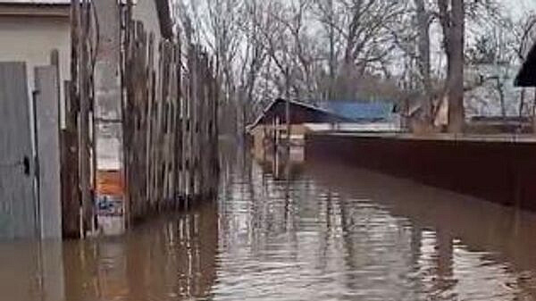 � 39 �������� �������� ������������� ����� 6,8 ������ ����� �����